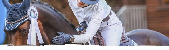 einstiegsbanner derby ueber derby pferdefutter 920px mobil